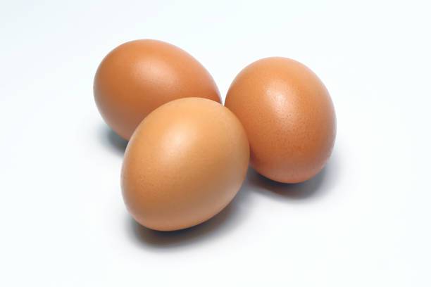 Telur Ayam Negeri