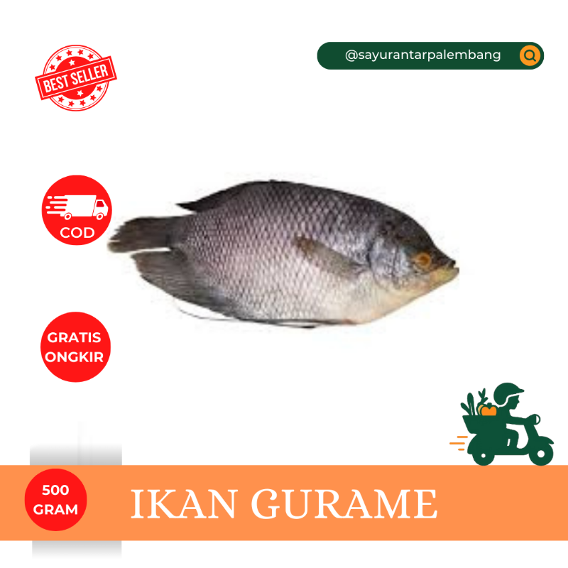Ikan Gurame