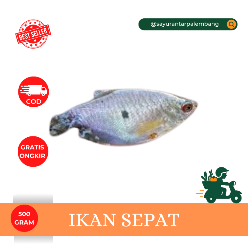 Ikan Sepat