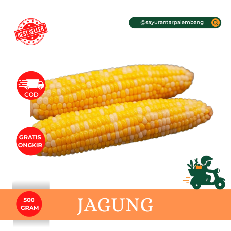 Jagung