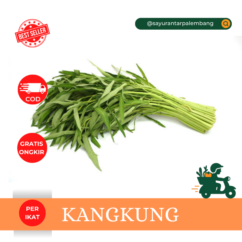 Kangkung