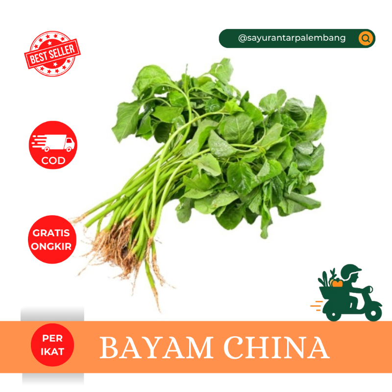 Bayam China