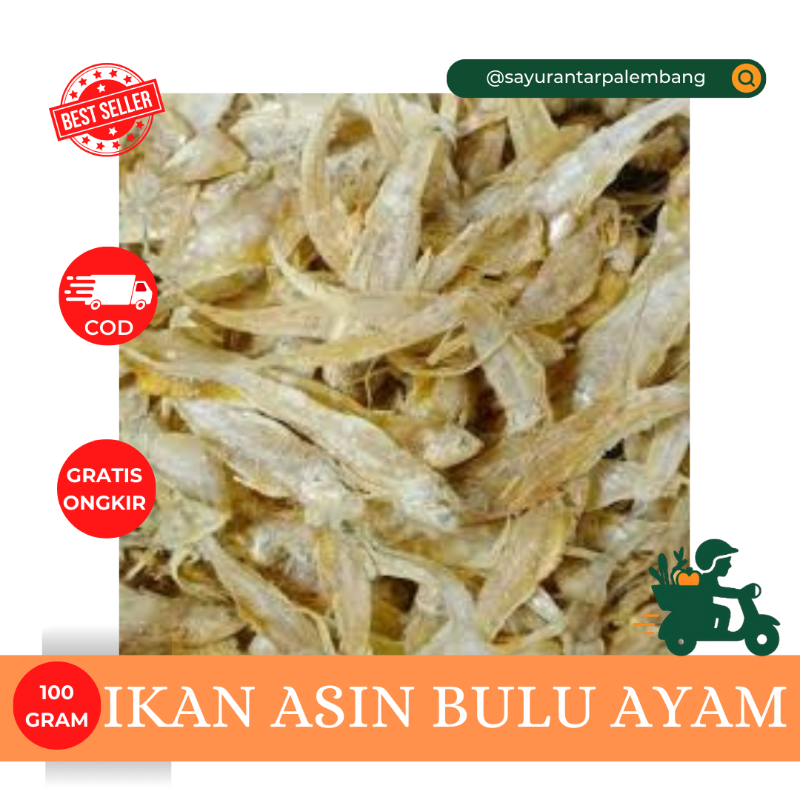 Ikan Asin Bulu Ayam