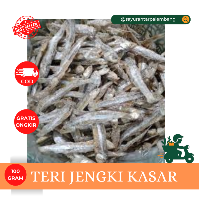 Teri Jengki Kasar