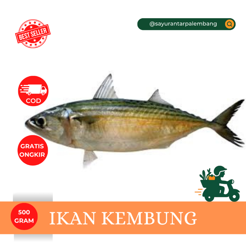 Ikan kembung