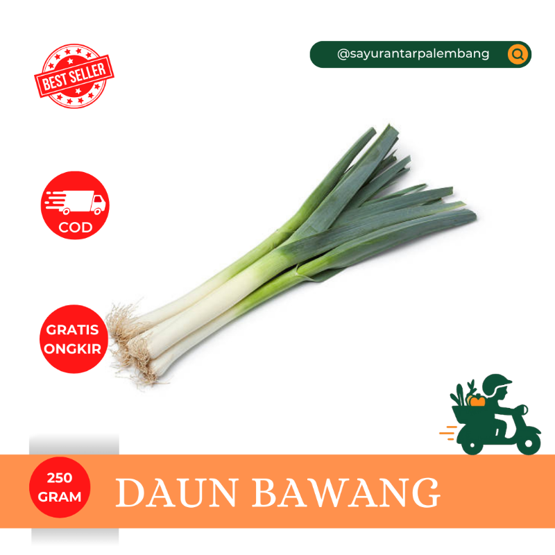 Daun Bawang