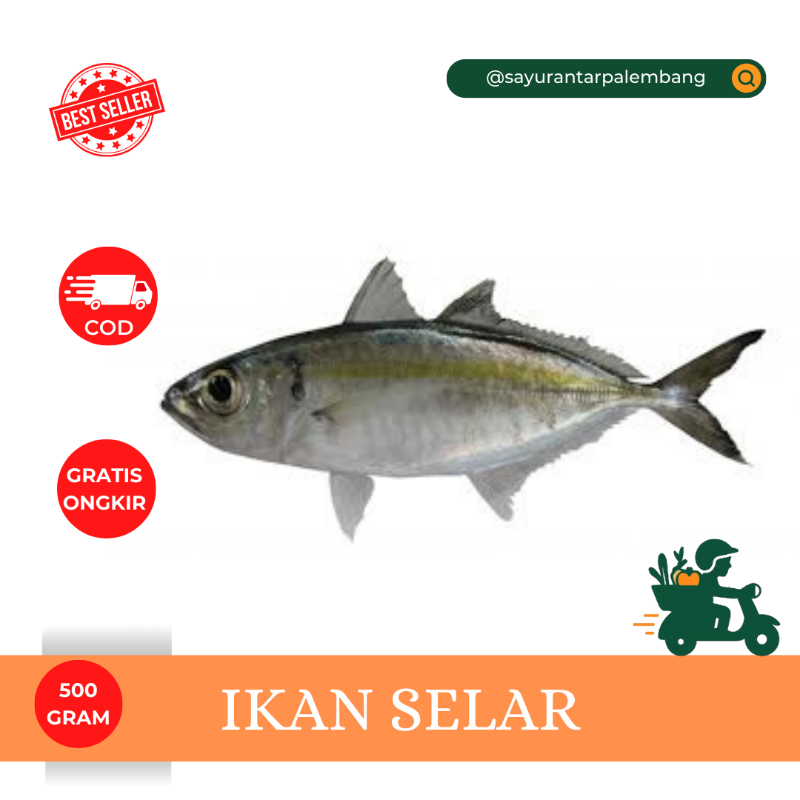 Ikan Selar