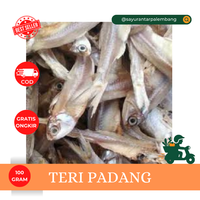 Teri Padang