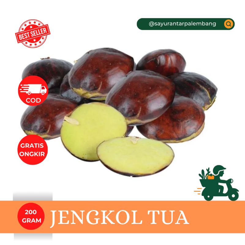 Jengkol Tua