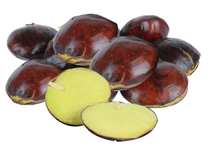 Jengkol Tua