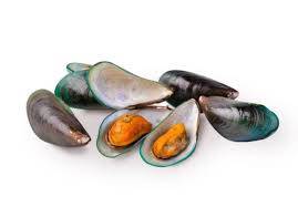 Kerang Hijau