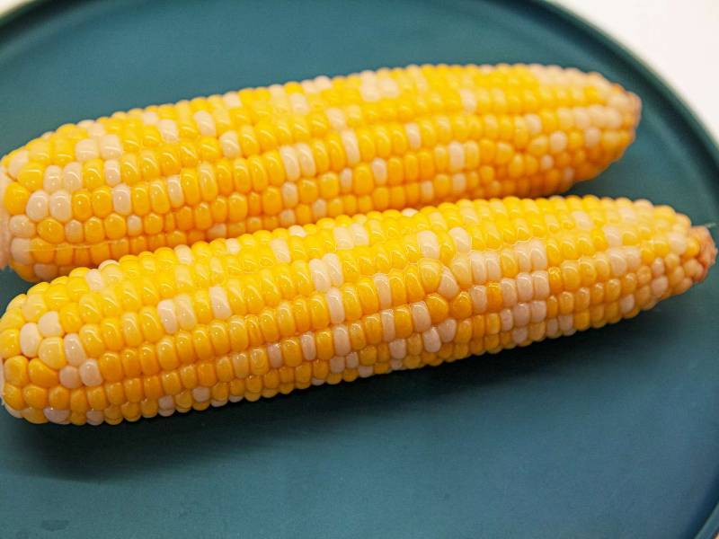 Jagung