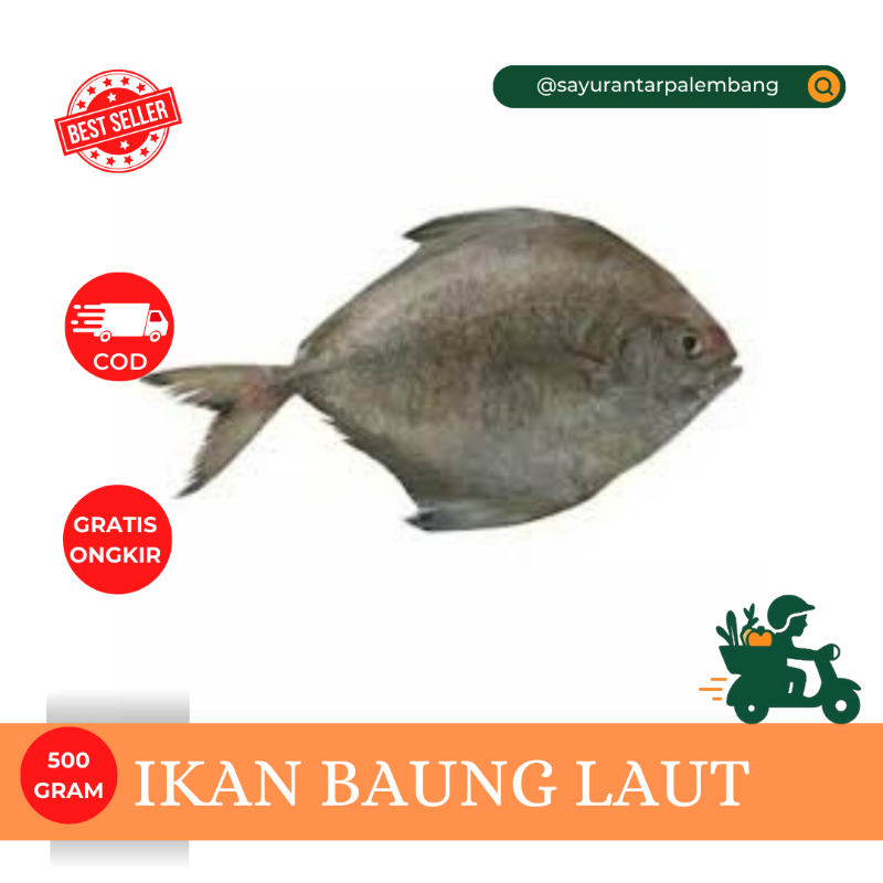 Ikan Baung Laut