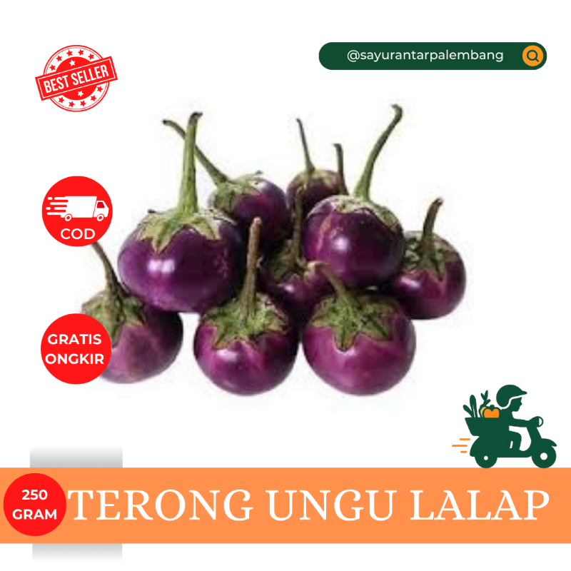 Terong Ungu Lalap
