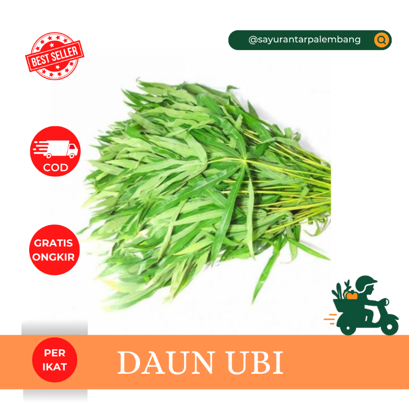 Daun Ubi