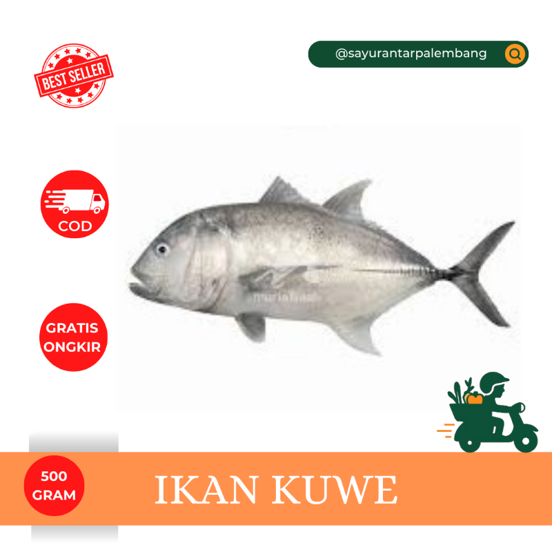 Ikan Kuwe