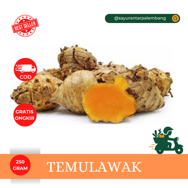 Temulawak