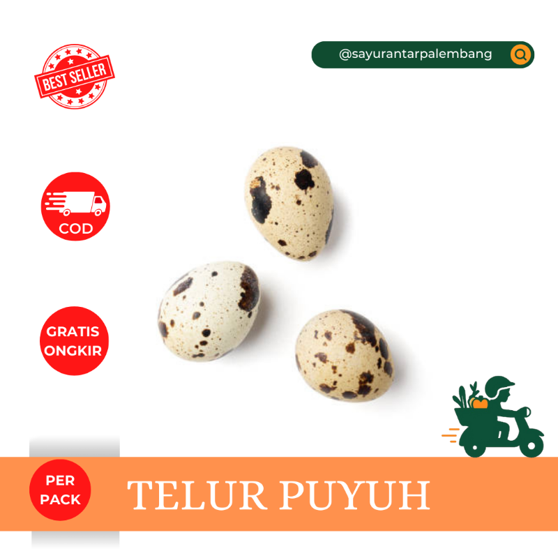 Telur Puyuh