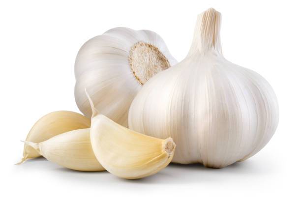Bawang Putih