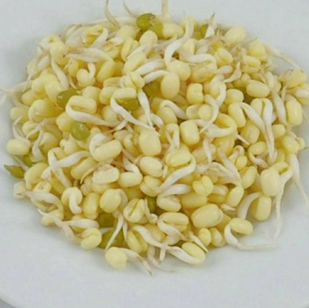 Tauge Soto