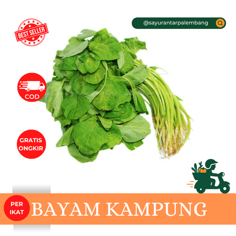Bayam Kampung