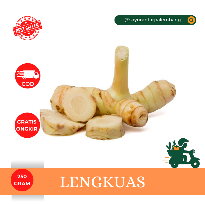 Lengkuas