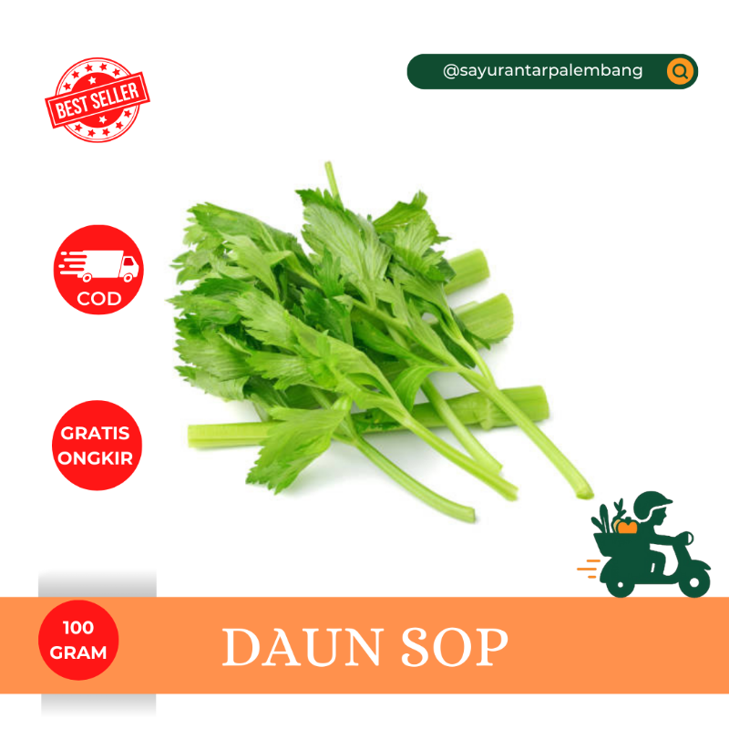 Daun Sop