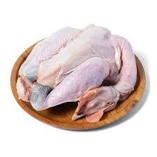 Ayam Kampung