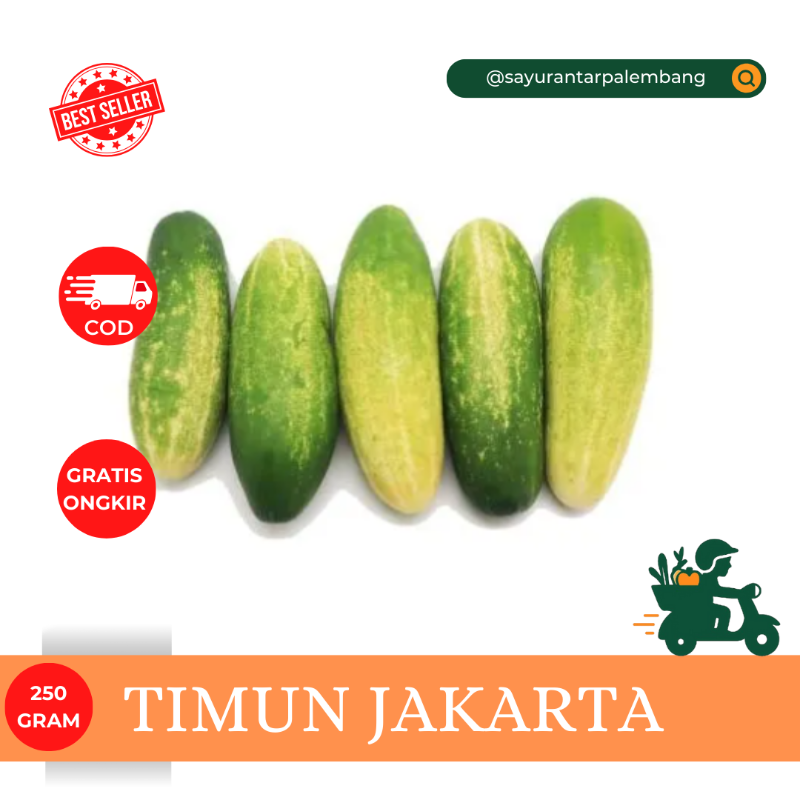 Timun Jakarta