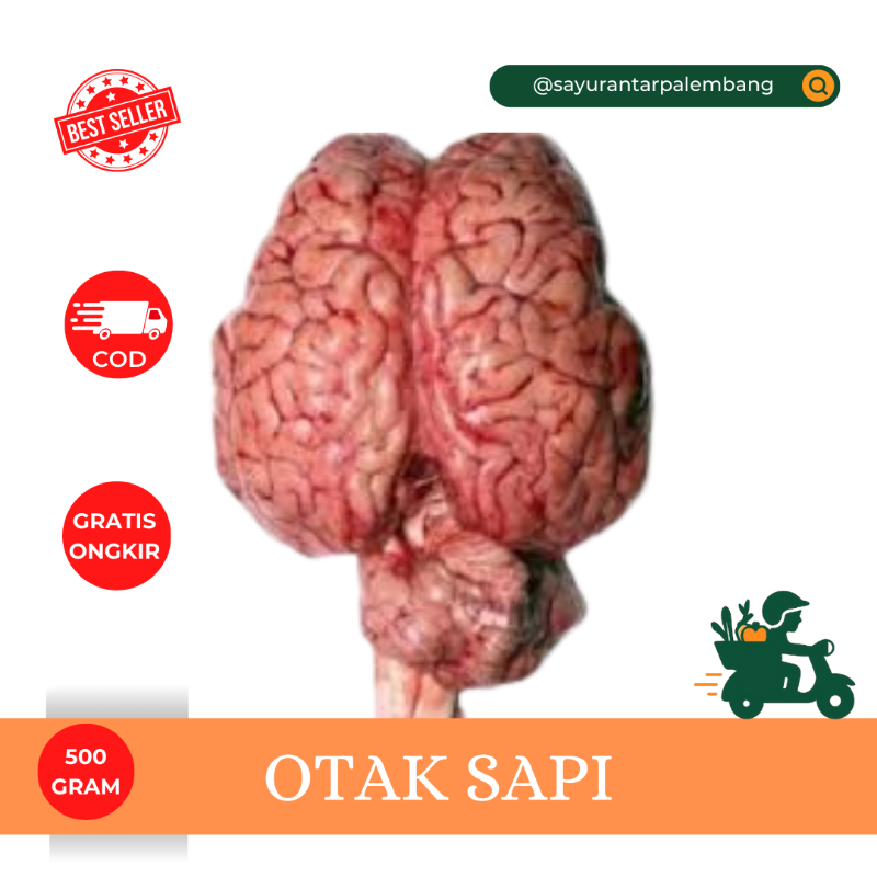 Otak Sapi