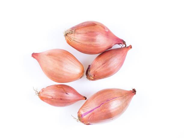 Bawang Merah