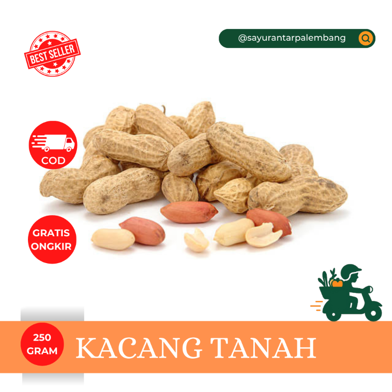 Kacang Tanah
