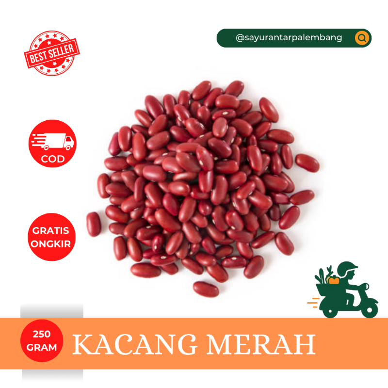 Kacang Merah