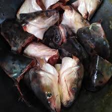 Kepala Patin