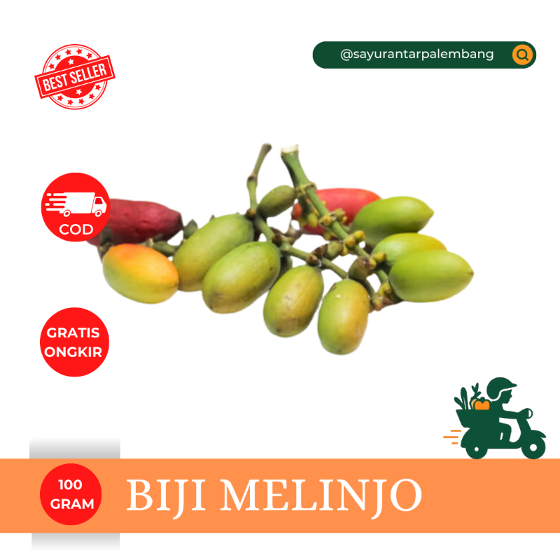 Biji Melinjo