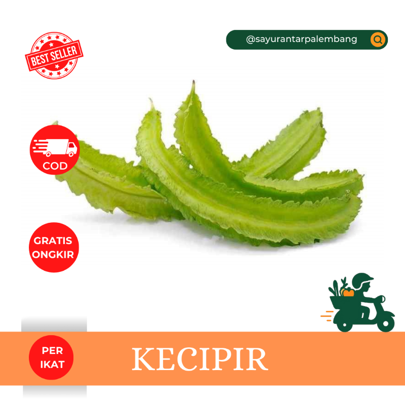 Kecipir