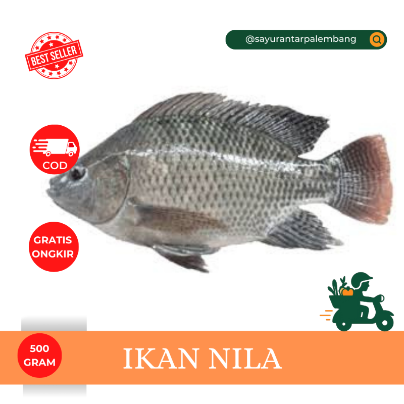 Ikan Nila
