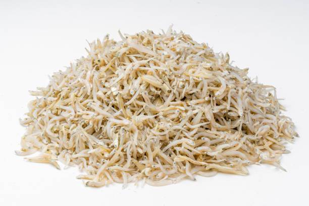 Teri Medan
