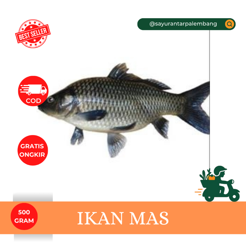 Ikan Mas