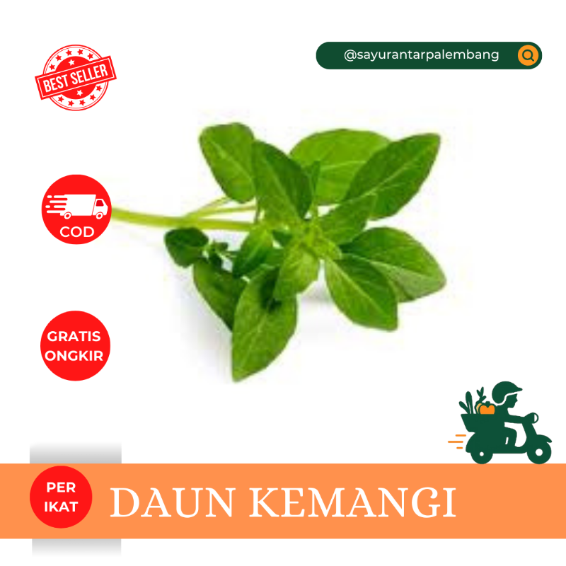 Daun Kemangi