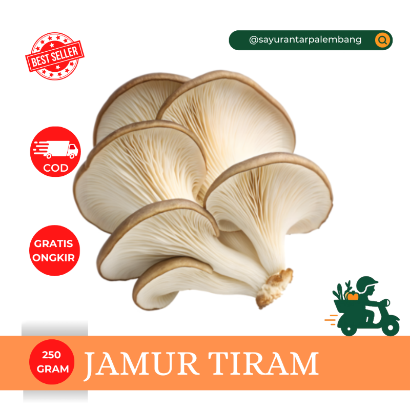 Jamur Tiram