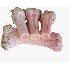 Sumsum Kaki Sapi