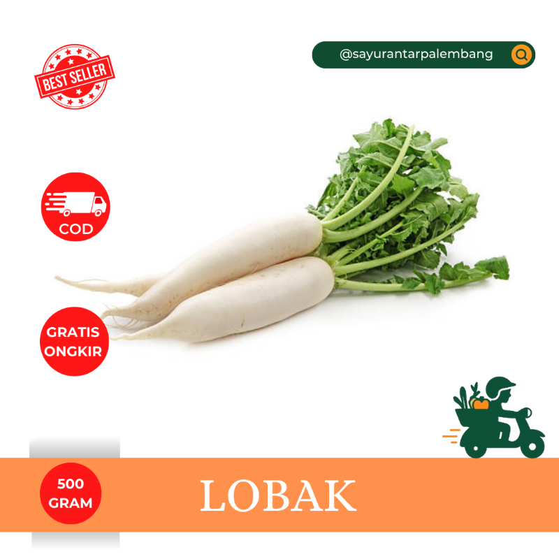 Lobak