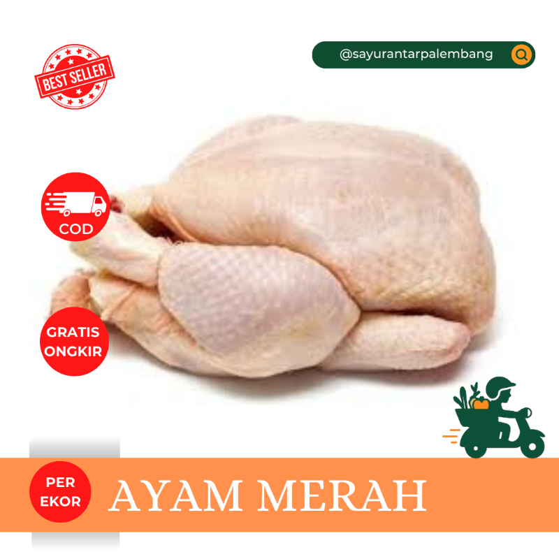 Ayam Merah