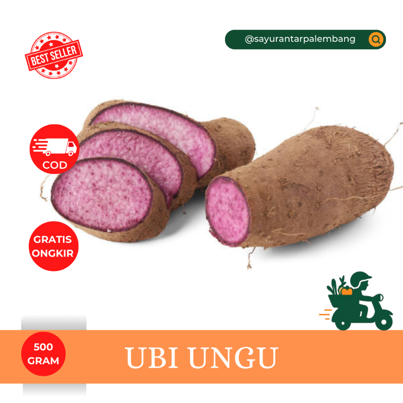 Ubi Ungu