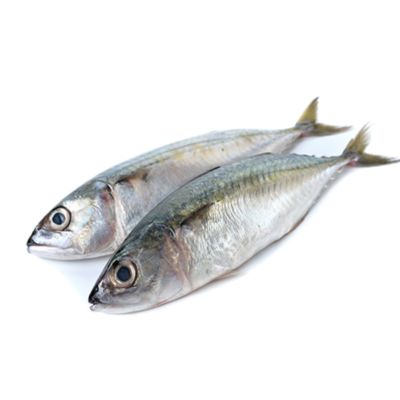 big Mackerel القرفة