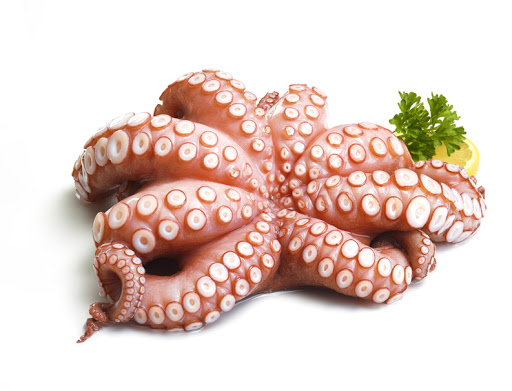 Octopus أخطبوط