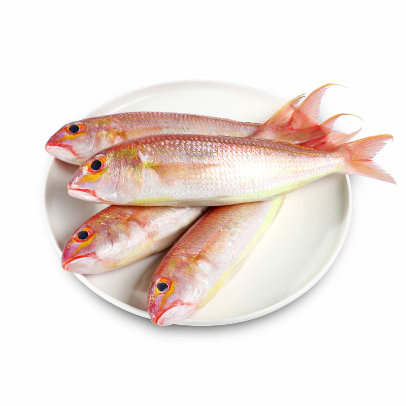 Sultan ibrahim سلطان إبراهيم