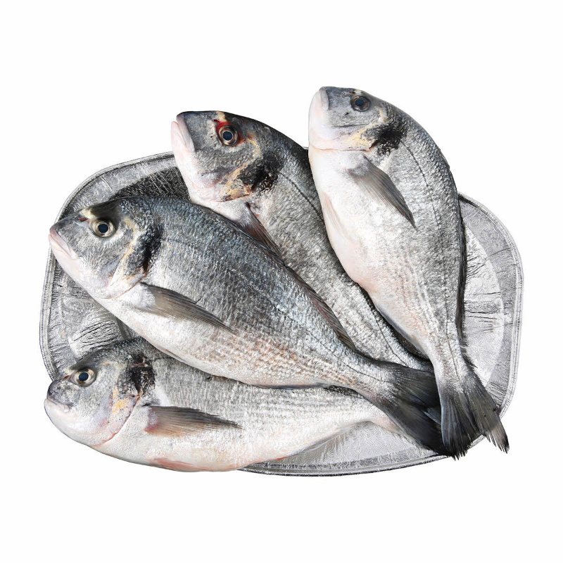 Sea bream  سبريم