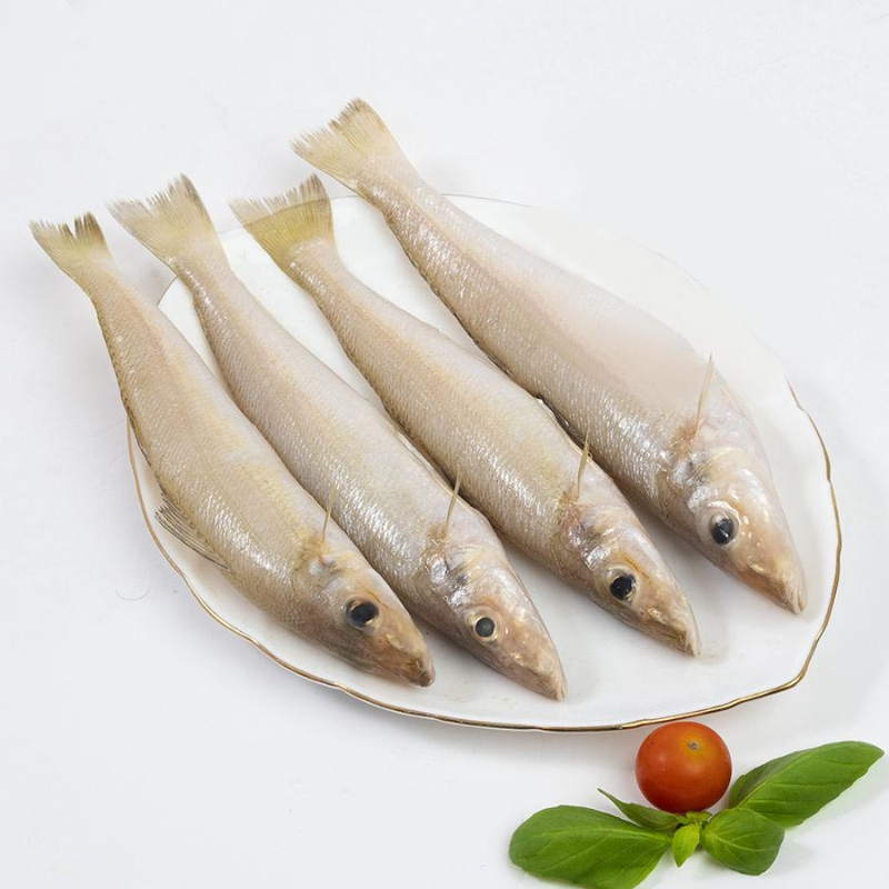 Lady fish حاسوم